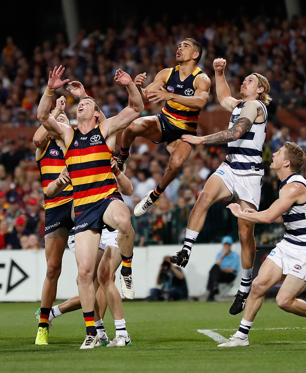 猛1被揍后的身体反应 猛1被揍后的身体反应